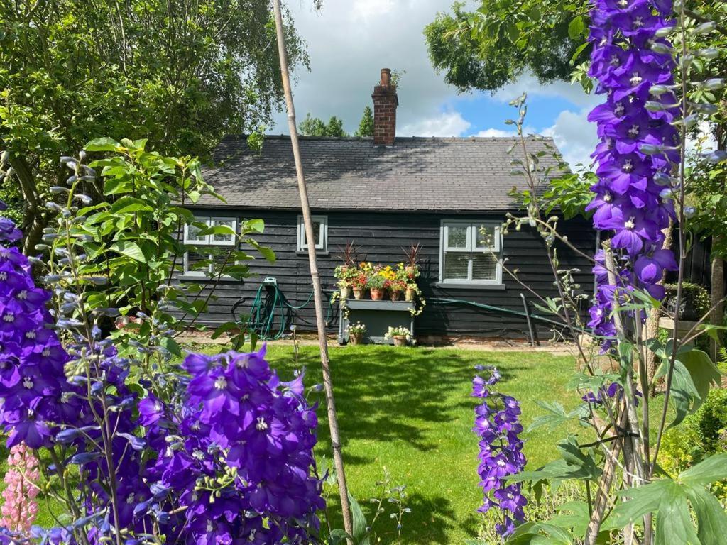 Thompsons Cottage Beverley Kültér fotó