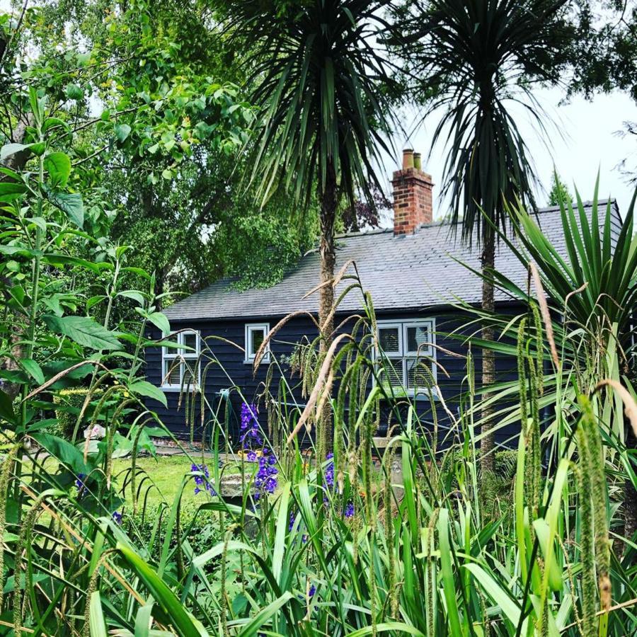 Thompsons Cottage Beverley Kültér fotó